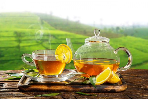 چای دوغزال در ترکیه به بالاترین قیمت خود رسید
